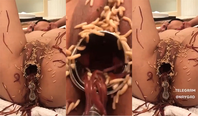 BOKEP INDO | VIRAL MEMEK DIPENUHI BELATUNG DAN CACING